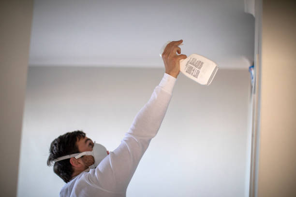 Best Home Mold Removal  in Independence, OH